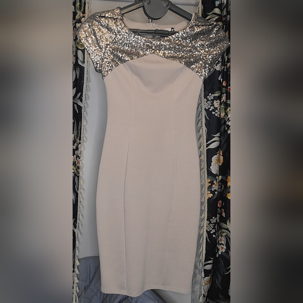 EUC Elise Ryan Cocktail Dress Size 4